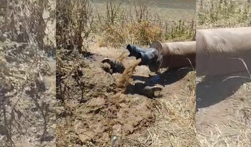 Diyarbakır'da sulama borusundan çıkanlar şaşırttı