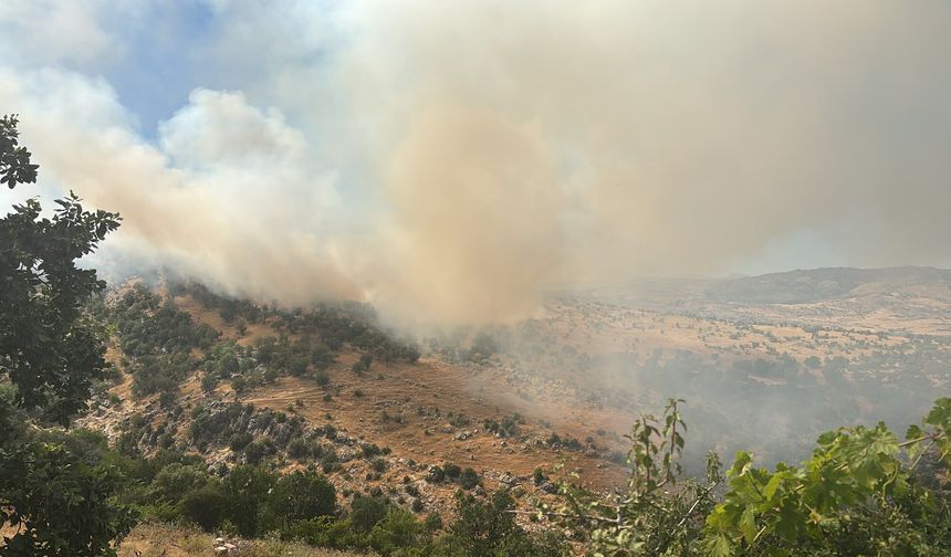 Diyarbakır'da orman yangını; ekiplerin müdahalesi sürüyor