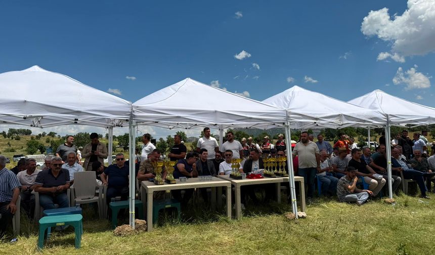Diyarbakır Hazro’da ilk kez yapıldı: Bu yarış nefes kesti
