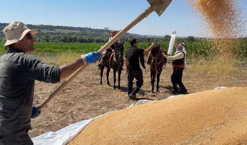 Diyarbakır'da 46 yıllık buz mesaisi: Tarlalara at sırtında teslimat