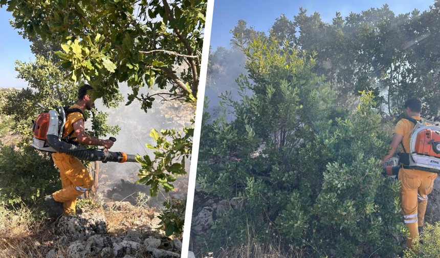 Diyarbakır'da ormanlık alanda yangın: 15 dönüme yakın alan kül oldu