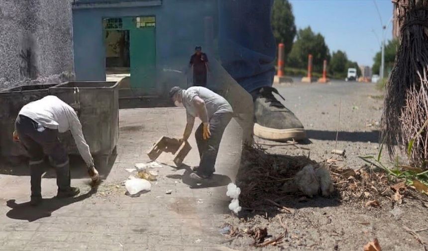 Diyarbakır’da 45 derecede alın teri: Bağlar'ın görünmeyen kahramanları sokakta