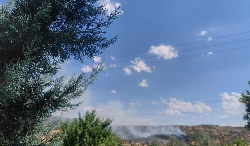 Diyarbakır’da örtü yangını: Onlarca dönüm alan zarar gördü
