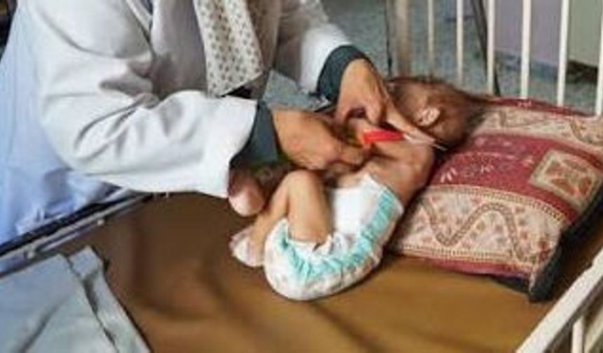 Gazze'de suçiçeği salgını büyüyor