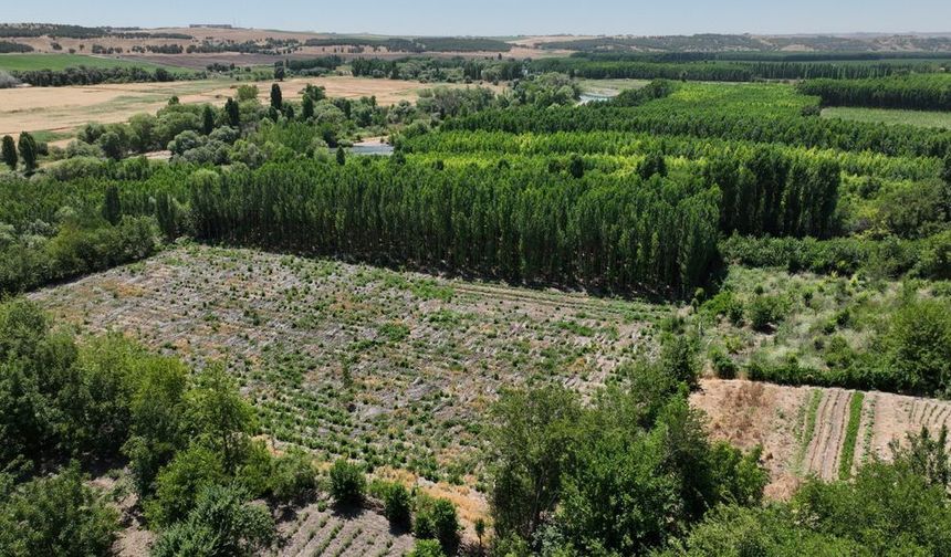 Diyarbakır'da Hevsel Bahçeleri'nde atık su dönemi sona erdi
