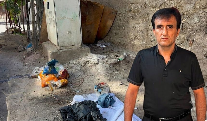 Diyarbakır'da karasinek isyanı; Evde yemek yiyemiyoruz