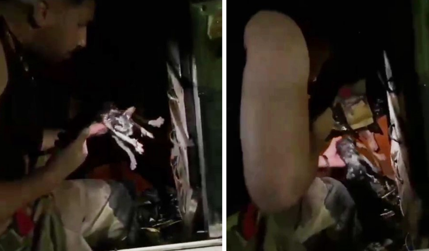 Diyarbakır'da yangında mahsur kalan kedi kurtarıldı