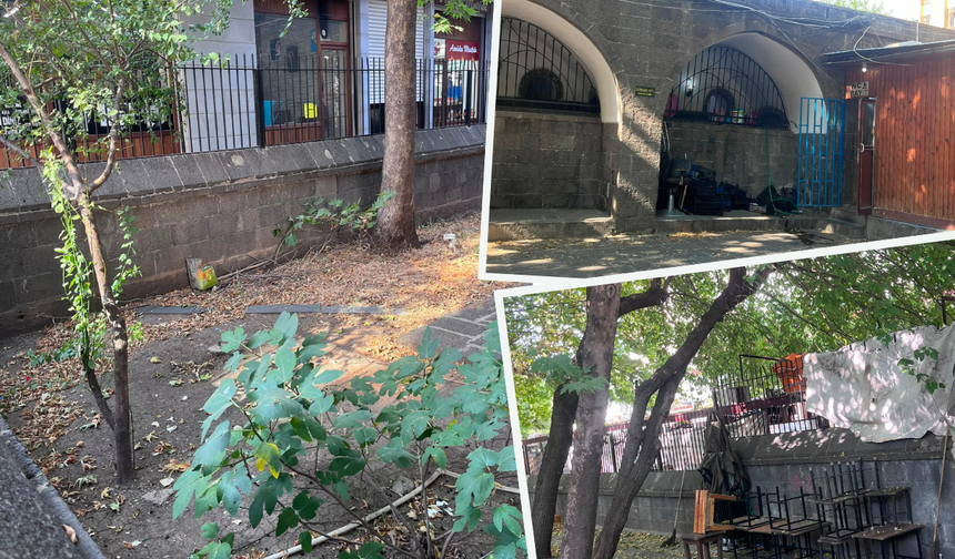Diyarbakır'da Nebi Camii avlusu için tepki: Ücret var, hizmet yok