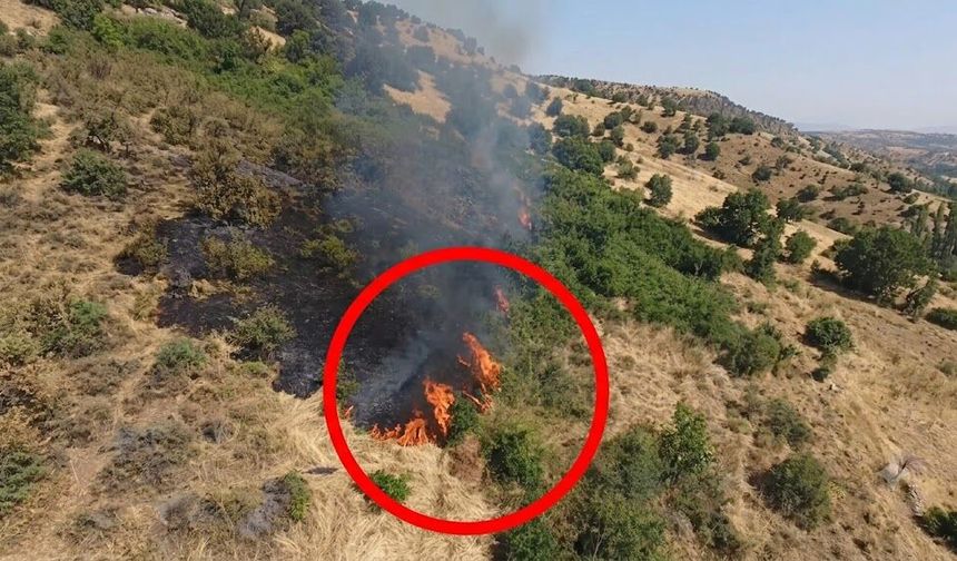 Diyarbakır’da çıkan örtü yangını kontrol altına alındı