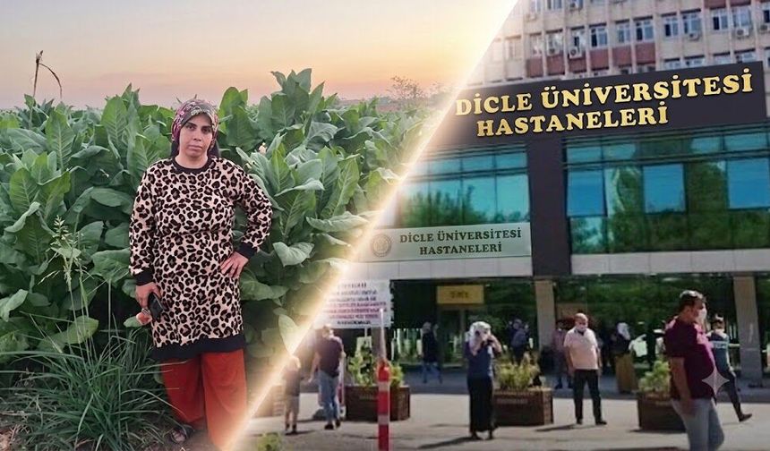 Diyarbakır’da acı olay: Tarlada fenalaşan kadın kurtarılamadı