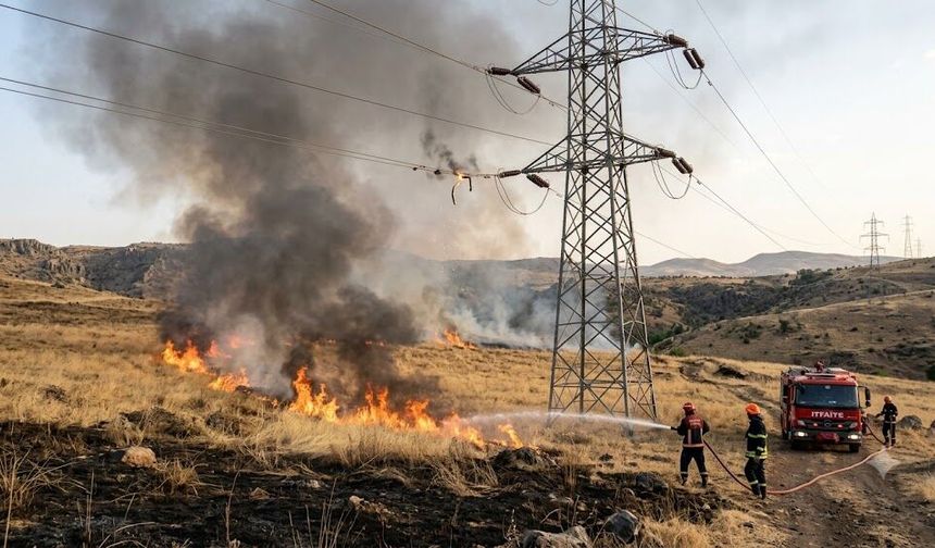 Diyarbakır’da yüksek gerilim hattına çarpan kuş yangına neden oldu