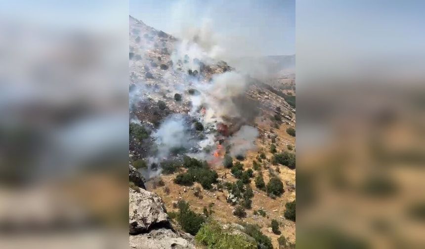 Diyarbakır'da örtü ve orman yangınları söndürüldü