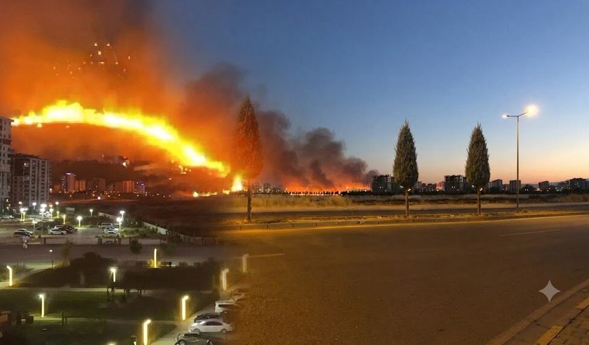 Diyarbakır'da ot yangını paniği