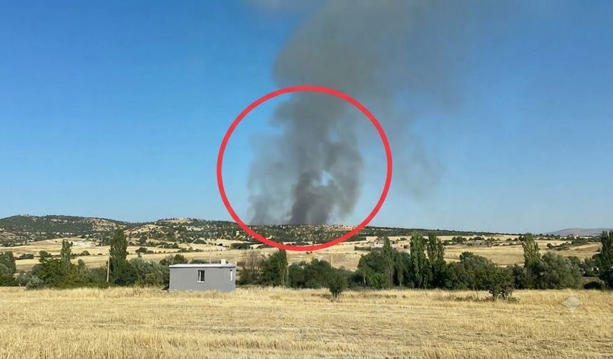 Diyarbakır'da ağaçlık alanda yangın paniği