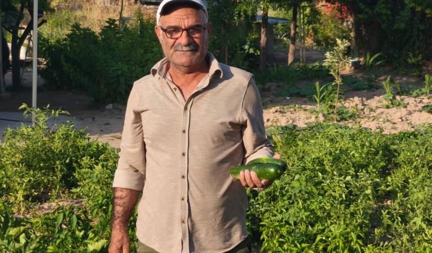Kız kardeşinin organıyla hayat buldu