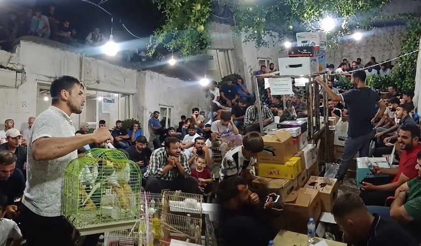 Güvercin mezatları kültürel mirası yaşatıyor