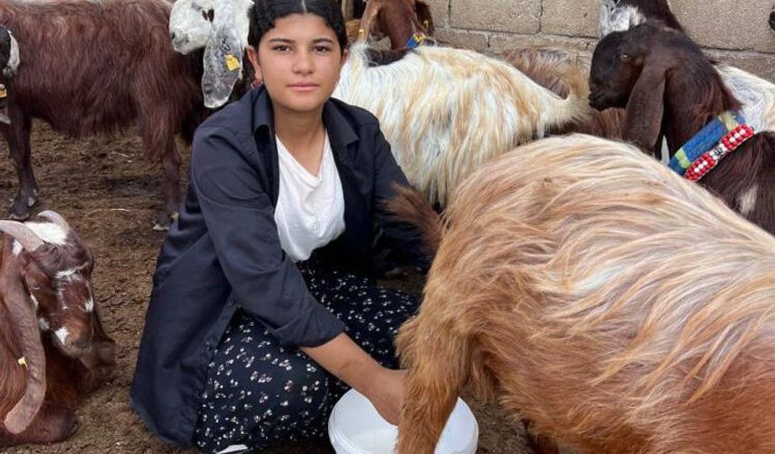 16 yaşında ata binip keçi besliyor