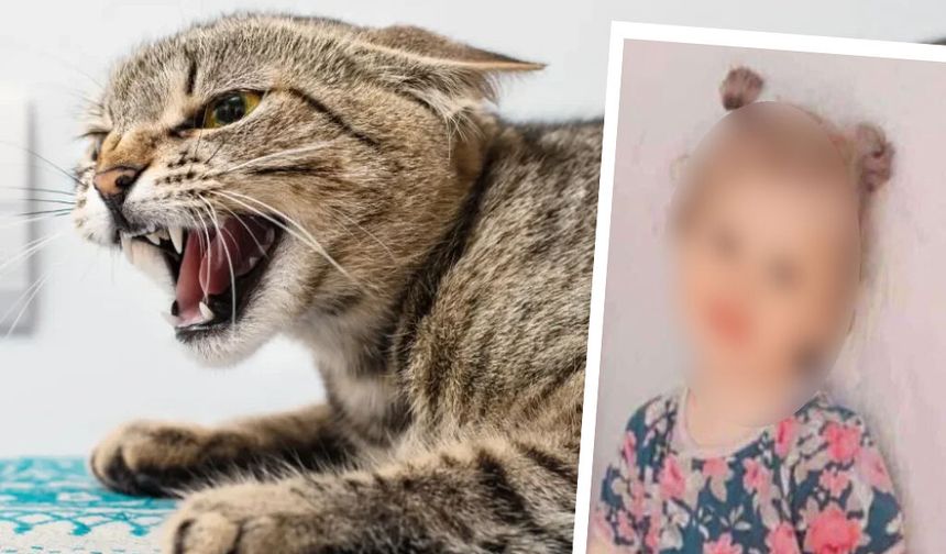 Diyarbakır'da kedinin ısırdığı çocuk hayatını kaybetti