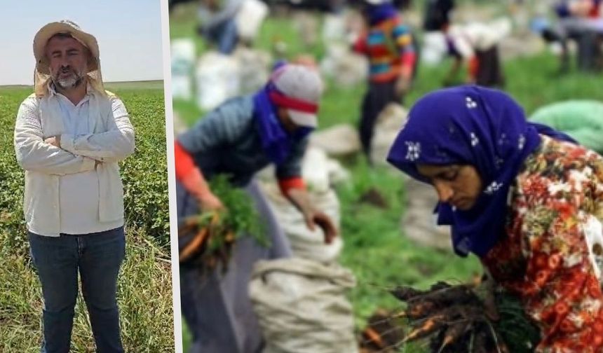 Mevsimlik tarım işçilerine yönelik saldırıya Diyarbakır’dan tepki