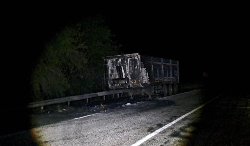 Diyarbakır’da seyir halindeki tır alevlere teslim oldu