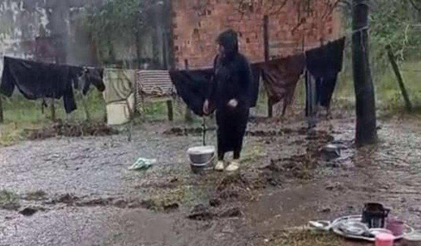Fındık işçileri yağmur mağduru