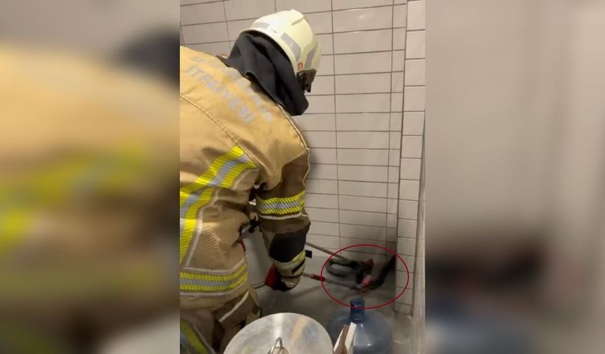 Diyarbakır’da petrol istasyonunda 2,5 metre uzunluğunda yılan yakalandı