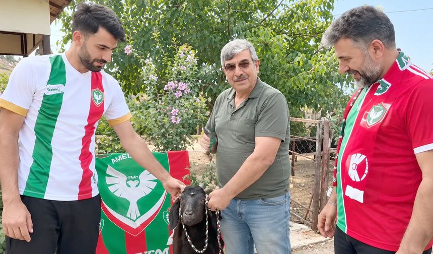 Amedspor lider oldu, taraftar kurban kesti