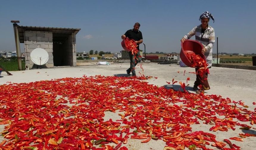 Hatay’dan Diyarbakır’a giden acının serüveni