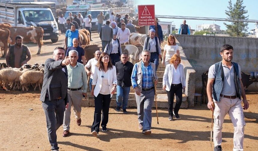 Eş başkan Bucak açıkladı: Diyarbakır Hayvan Borsası için yeni tesis geliyor