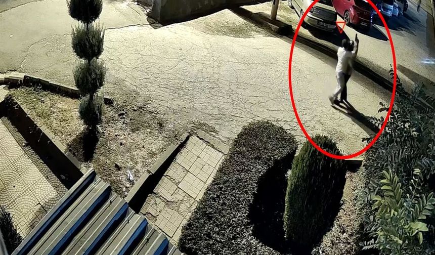 Diyarbakır’daki kadın cinayetinde dikkat çeken iddia: Bu cinayet tasarlanmış olabilir