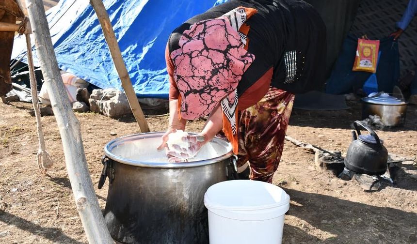 Organik tereyağı Şırnak'ın yaylalarından sofraya geliyor