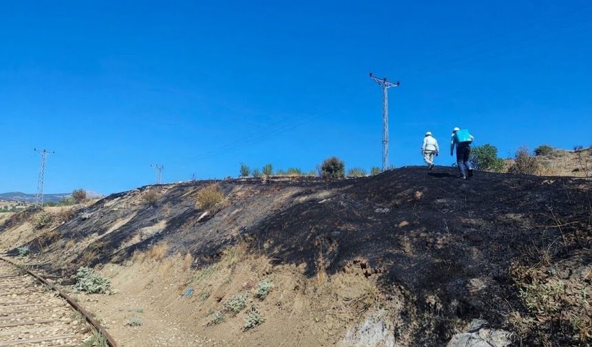Diyarbakır’da anız yangını çıktı: Ekipler seferber oldu