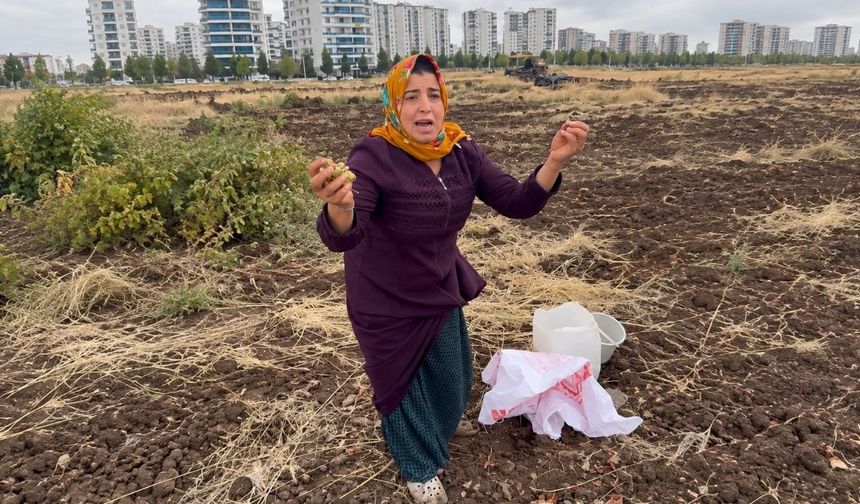 Diyarbakır’da 45 yıllık mülkiyet davası sürerken araziye iş makineleri girdi