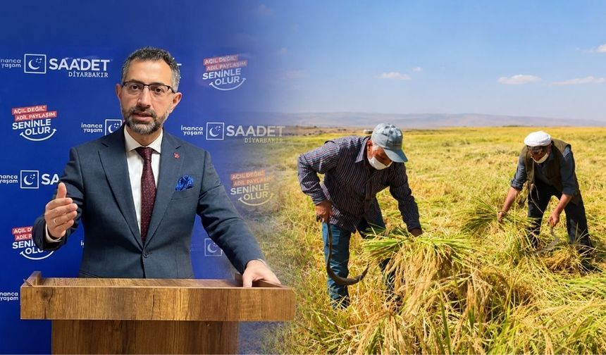 Karacadağ Pirinci üreticisi isyanda;  Üretiyoruz ama bize bir şey kalmıyor