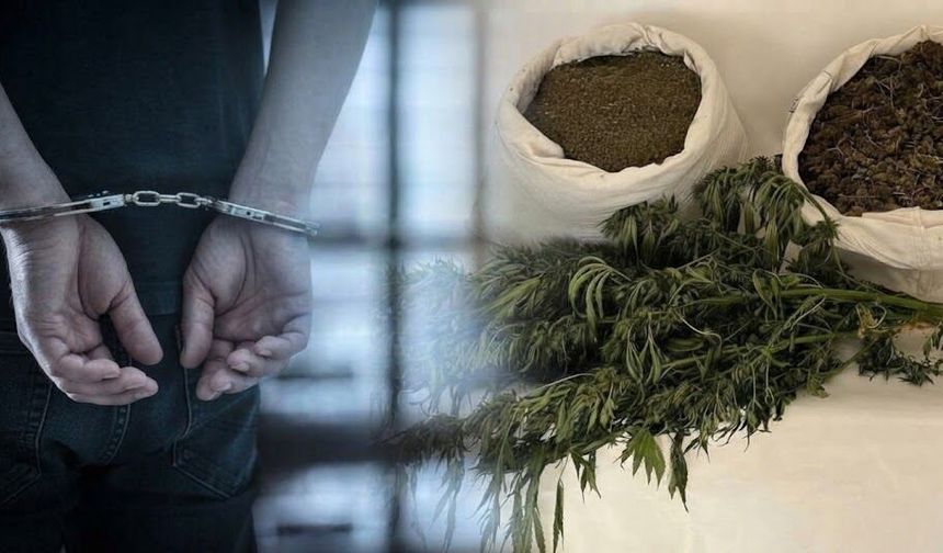 Diyarbakır’da uyuşturucu operasyonu: 2 ton 200 kilo esrar ele geçirildi
