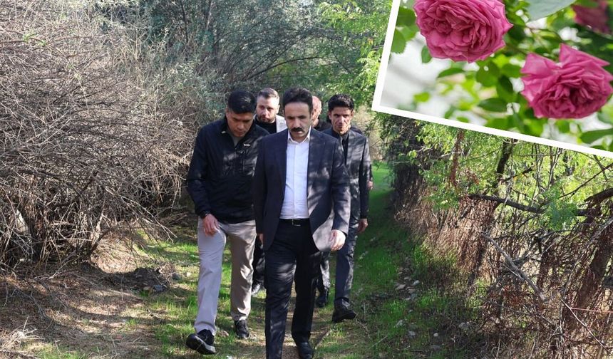 Diyarbakır Gül Kokacak