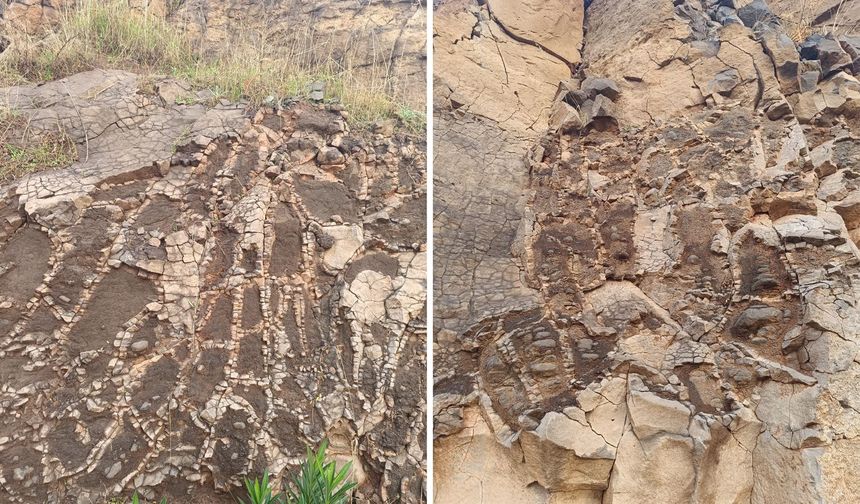 Roma mozaiği sandılar! Diyarbakır’da doğanın milyonlarca yıllık sanatı ortaya çıktı