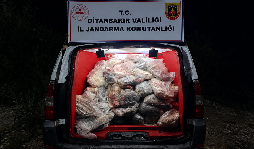 Diyarbakır’da araçtan 820 kilo sağlıksız hayvansal ürün çıktı