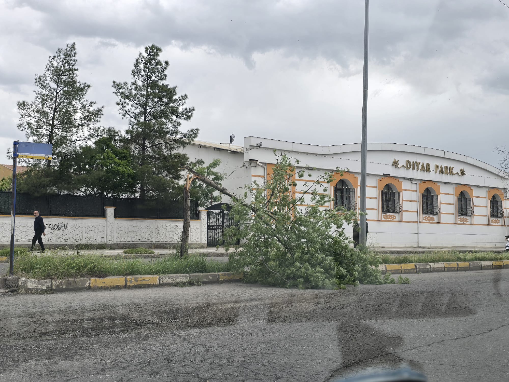 Agac Firtina