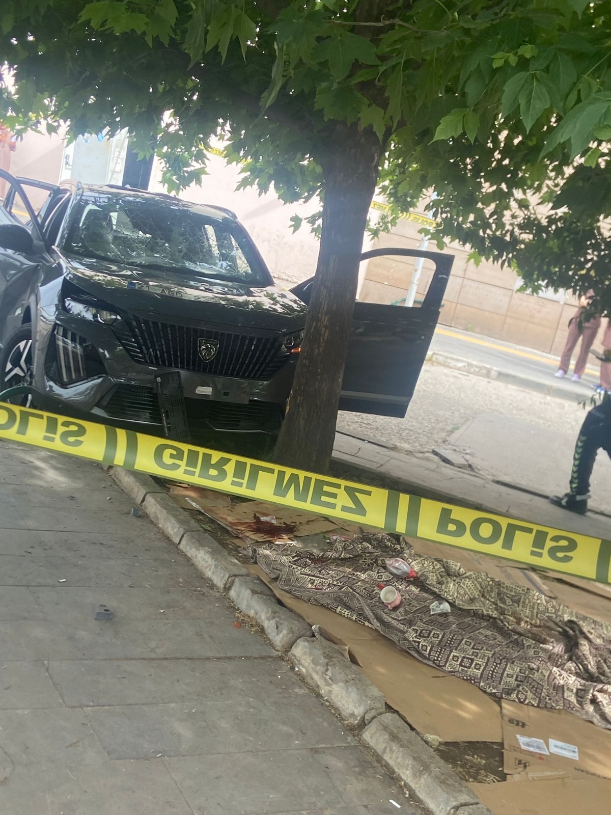 Diyarbakır Kaza2-3