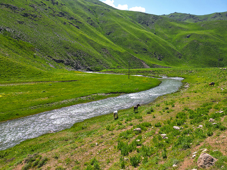 Faraşin Yayla4