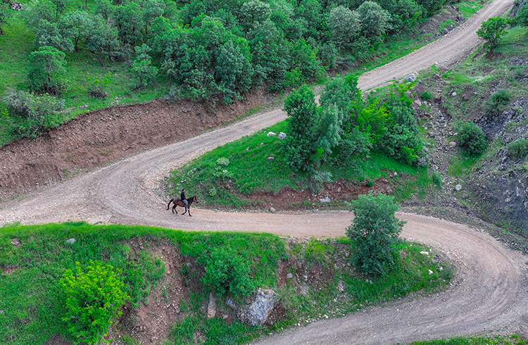 Rahvan Atı4