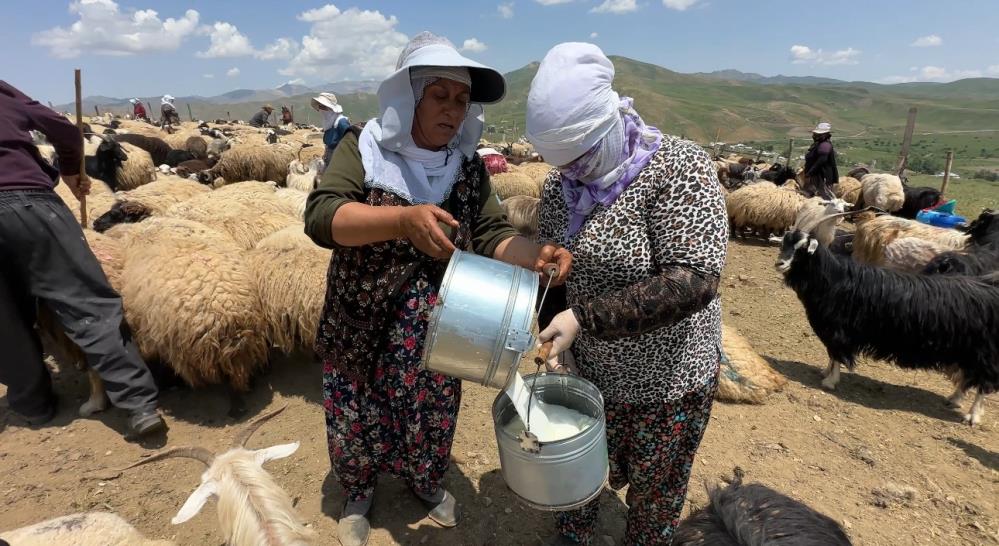 Koyun Kırma2