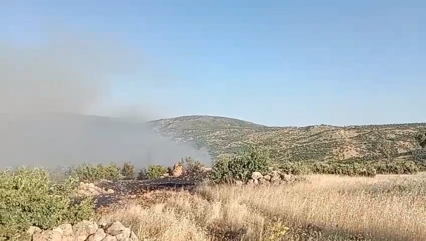 Ormanyangını1