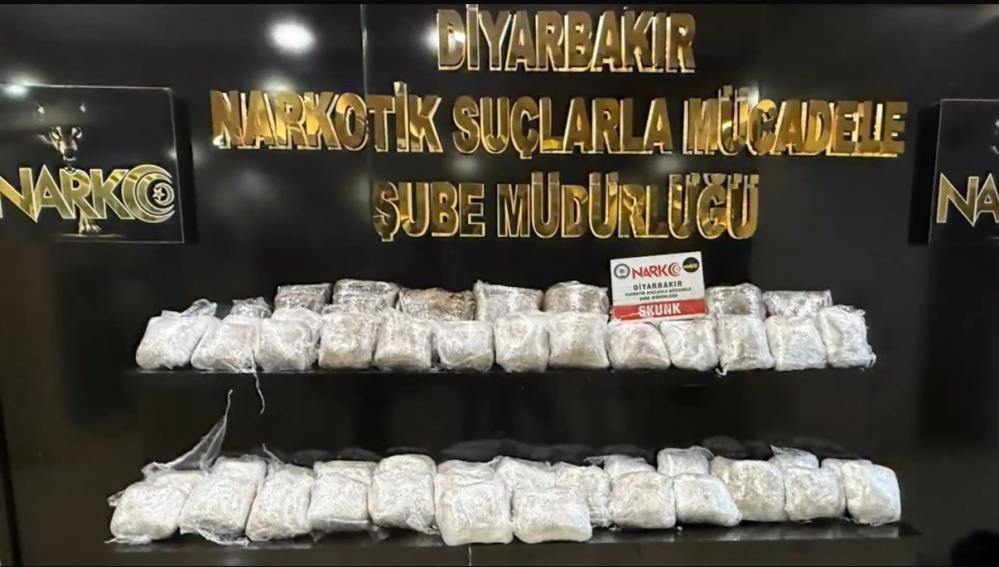 Uyuşturucu-4