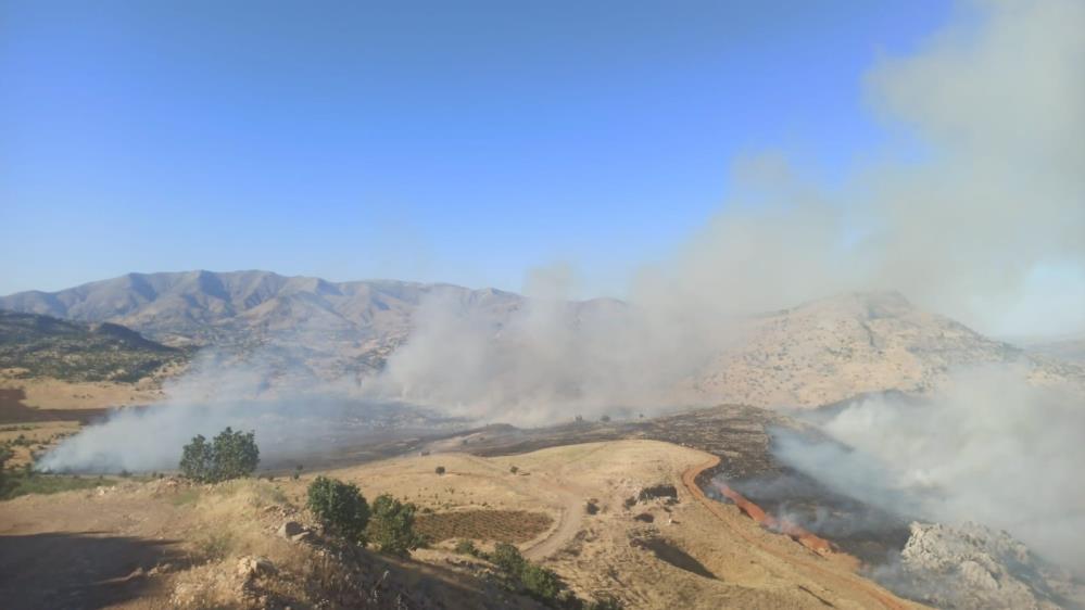 Yayla Yangın