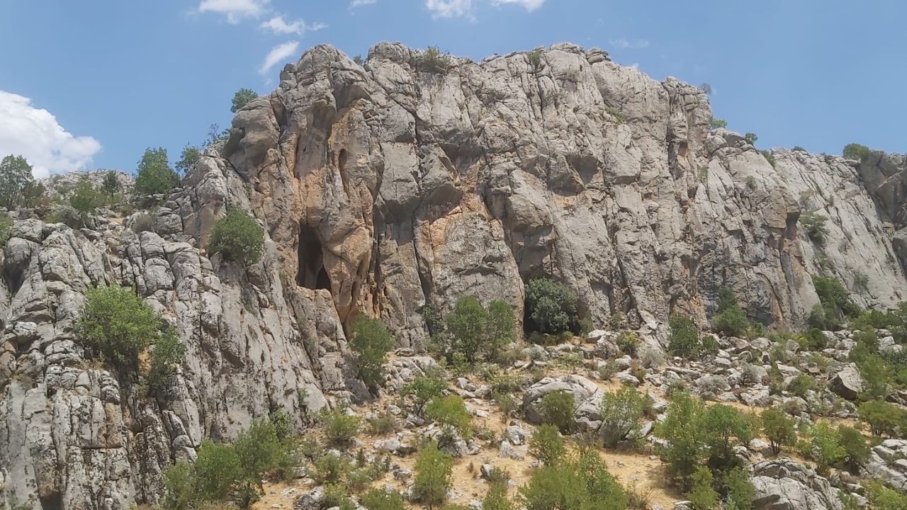 Bırkleyn 1