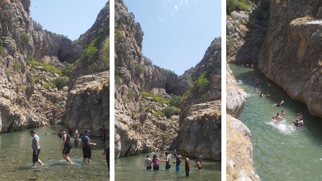 Bırkleyn 3