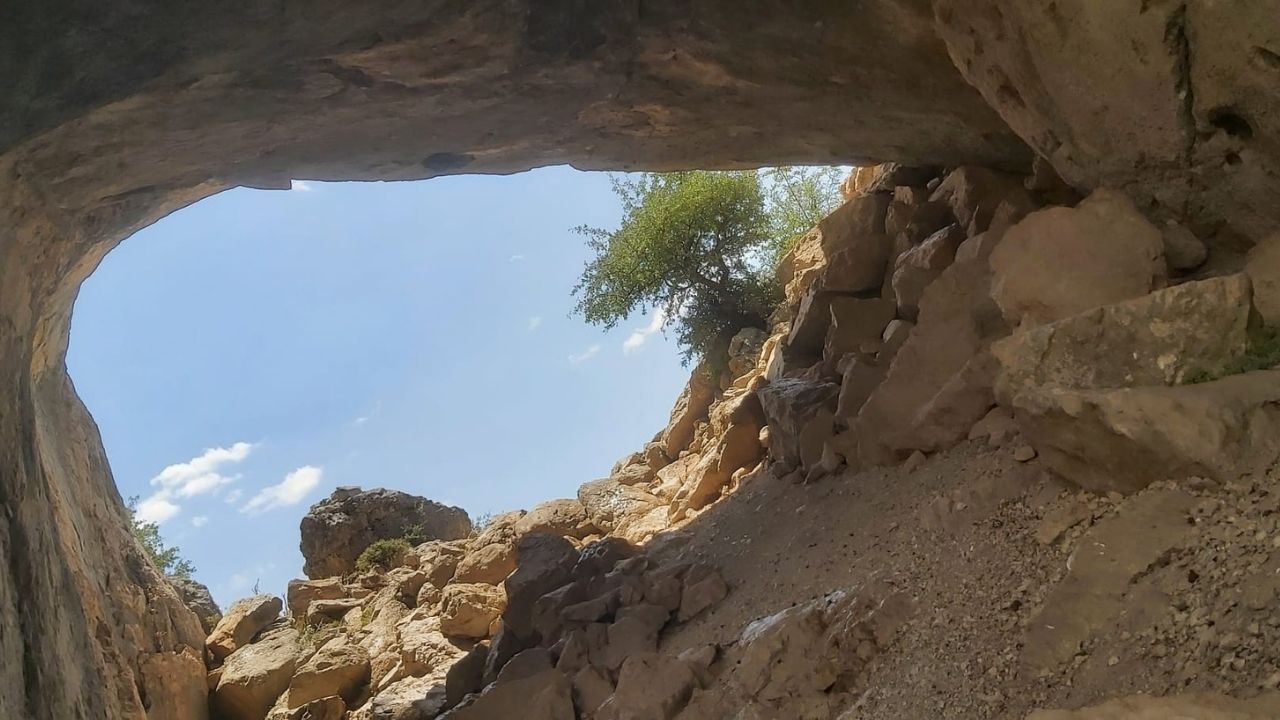 Bırkleyn 4