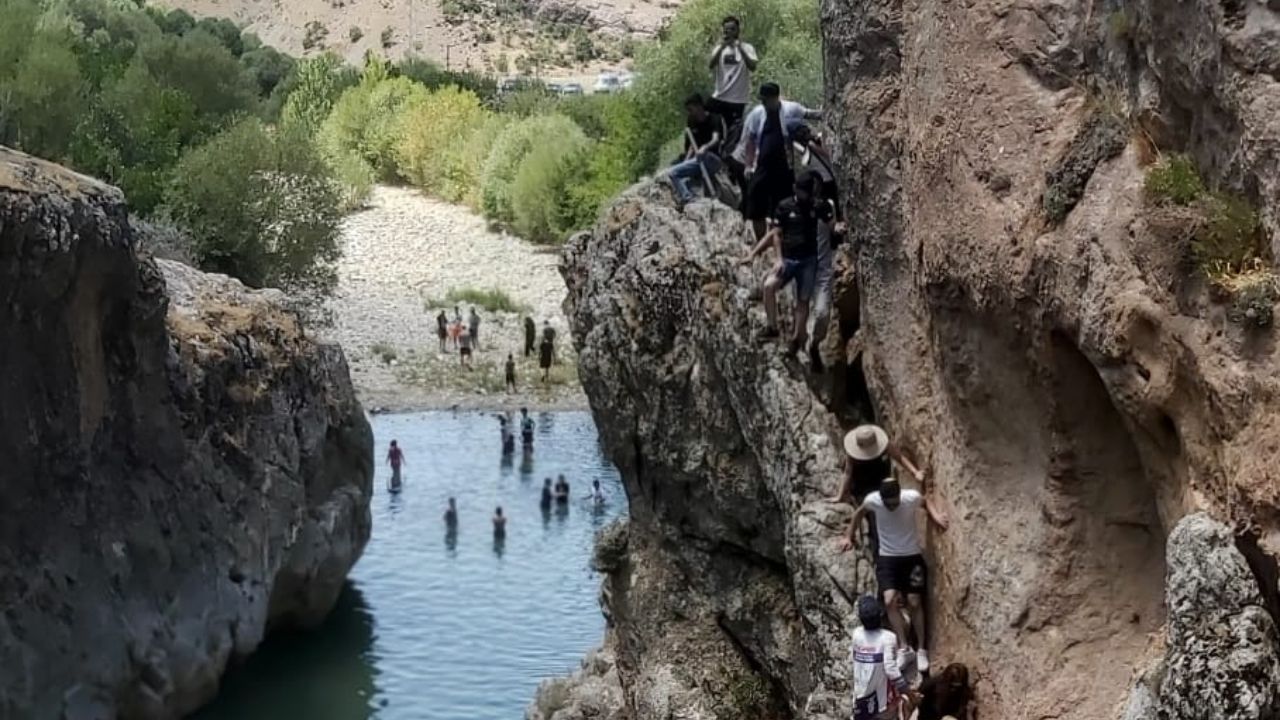 Bırkleyn 5